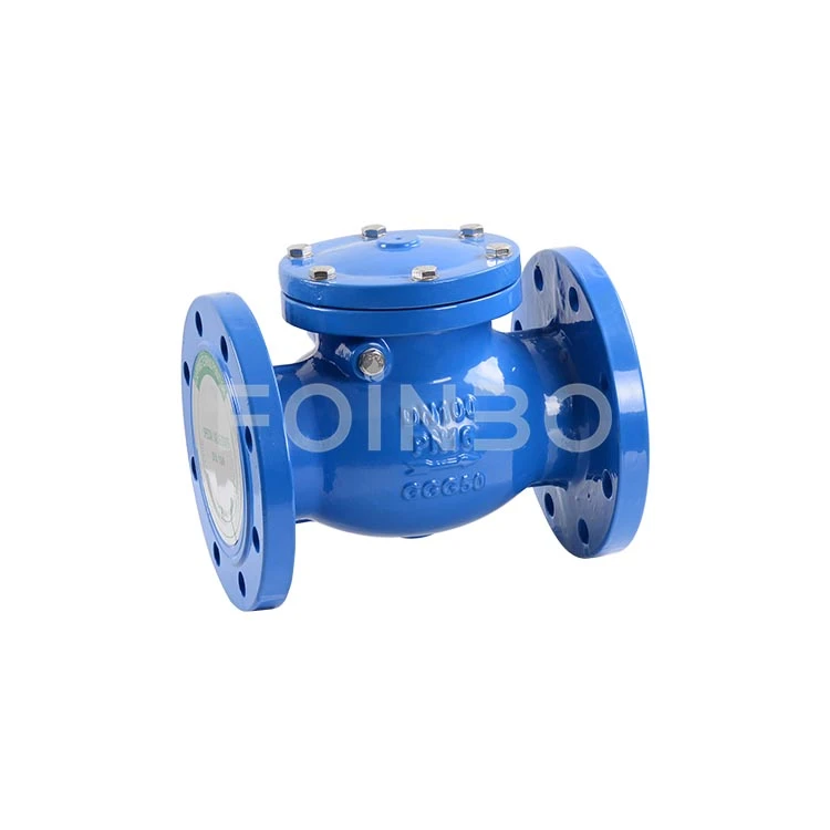 Non Return Swing Check Valve